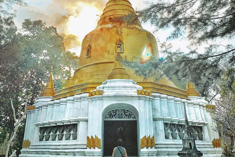 顺化隐秘瑰宝：秘密宝塔与素食午餐私人：法语