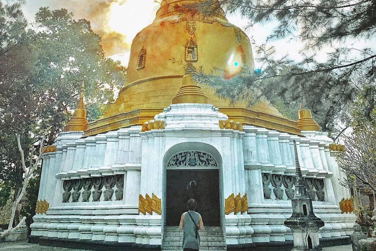 顺化隐秘瑰宝：秘密宝塔与素食午餐私人：法语