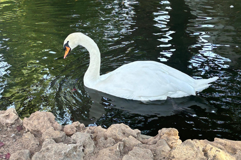 Cordoue : entrée au Centre de conservation Zoo CórdobaCordoue : Entrée au Centre de conservation du zoo de Cordoue