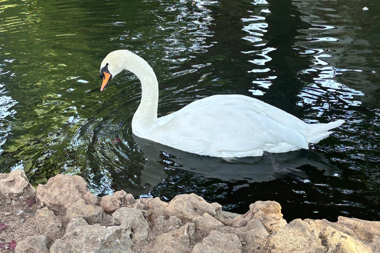 Cordoue : entrée au Centre de conservation Zoo CórdobaCordoue : Entrée au Centre de conservation du zoo de Cordoue