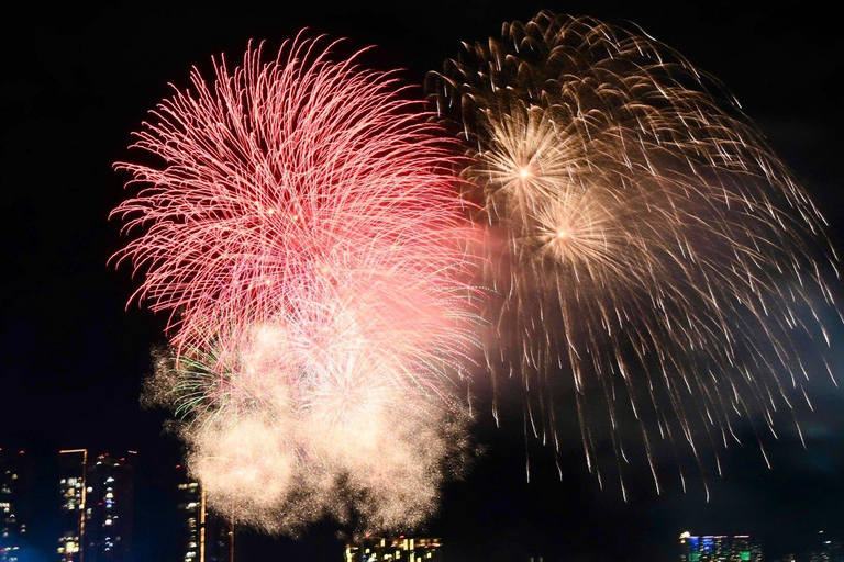 胡志明市：2026年除夕烟花快艇之旅团体游：除夕烟花快艇巡游