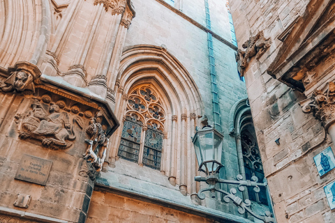 Barcelona: Introduction to the Gothic Quarter Walking Tour Private Tour (Max 20 Adults)