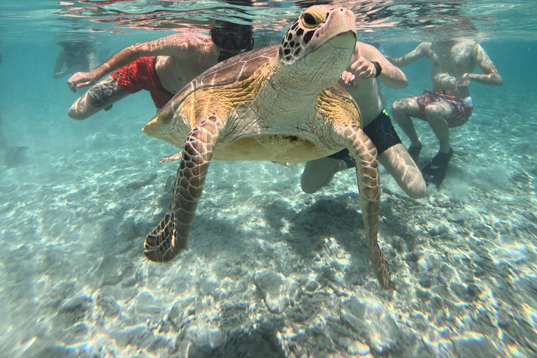 3 Gilis Snorkeling Tour Start Gili Air