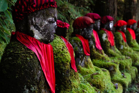 Tokyo: Nikko Craft, Forest Local Food Private Day Experience