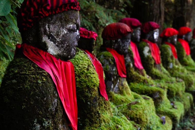 Tokyo: Nikko Craft, Forest Local Food Private Day Experience