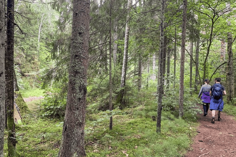 Riga: Geocaching Tour with Local Guide and Transport