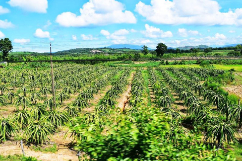 2-Day Mui Ne Tour: Train Ride, Sand Dunes & Seafood