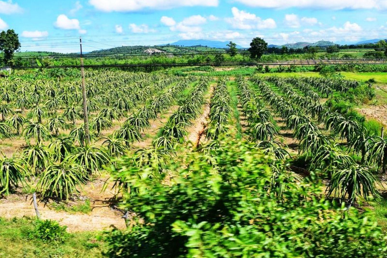 2-Day Mui Ne Tour: Train Ride, Sand Dunes & Seafood