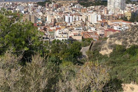 Alicante: Private Easy-walking City Tour & Castle.Shore also
