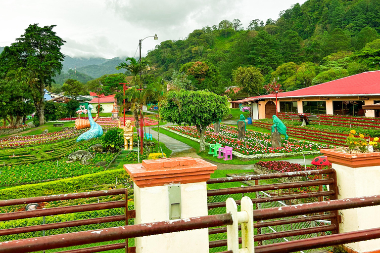 Coffee Plantation Tour