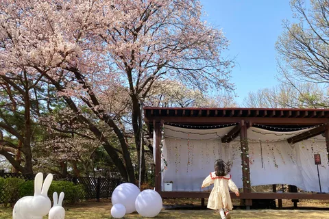 Seoul: Nami Island, Alpaca World, Morning Calm Garden