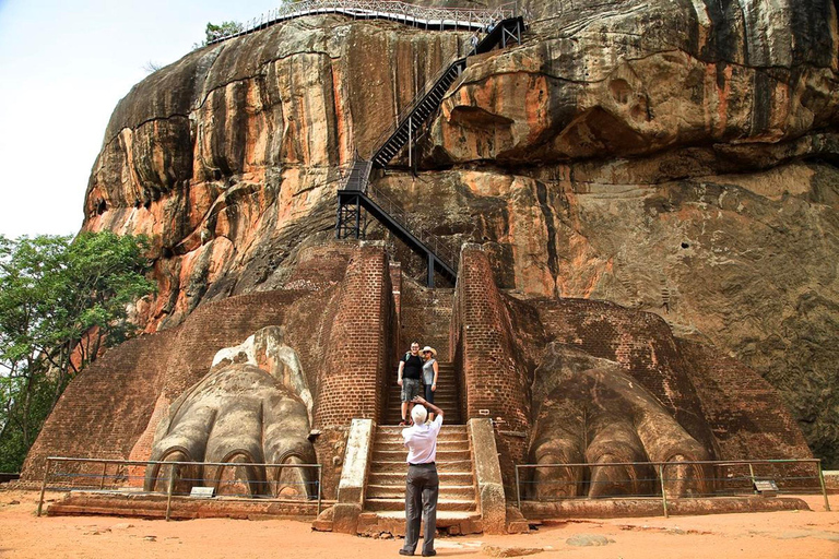 Ella: Sigiriya Rock, Dambulla Temple & Village Safari