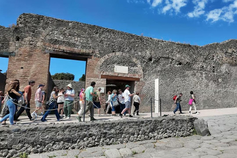 Rome: Vesuvius, Pompeii or Herculaneum by High-speed Train Pompeii Spanish Guided Tour & Vesuvio Entry ticket