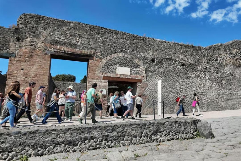 Rome: Vesuvius, Pompeii or Herculaneum by High-speed Train Pompeii Spanish Guided Tour & Vesuvio Entry ticket