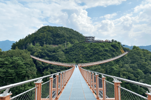 Excursión al 2º túnel de la DMZ y al puente colgante en forma de Y desde Seúl
