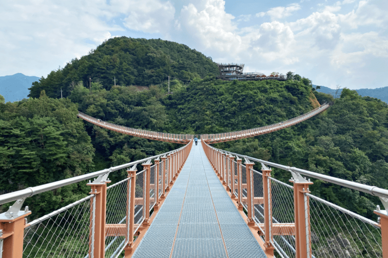 Excursión al 2º túnel de la DMZ y al puente colgante en forma de Y desde Seúl