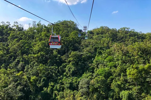 Sip & Savor : 🚠 Visite privée d'une journée au thé Maokong et au tofu Shenkeng