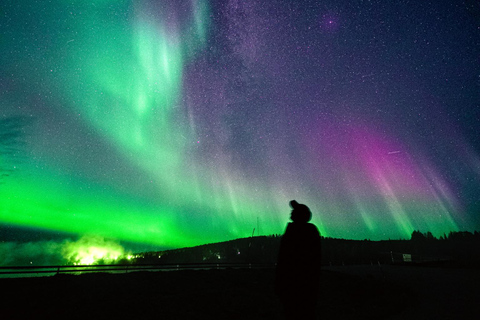 Levi: Nordlichter Pro garantiert – unbegrenzte EntfernungLevi: Nordlichter garantiert – unbegrenzte Entfernung