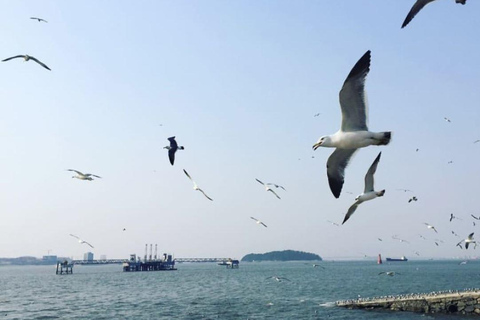 Incheon Luge &amp; Railbike &amp; Gaehangjang &amp; Parque HaneulSalida 3 de la estación Hongik University