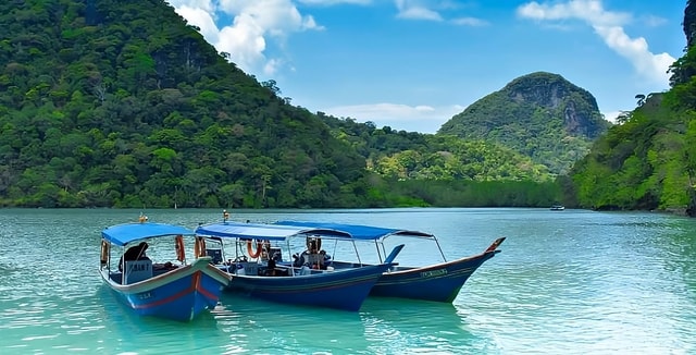 Langkawi: Mangrove Tour with Kilim Geoforest Park & Bat Cave