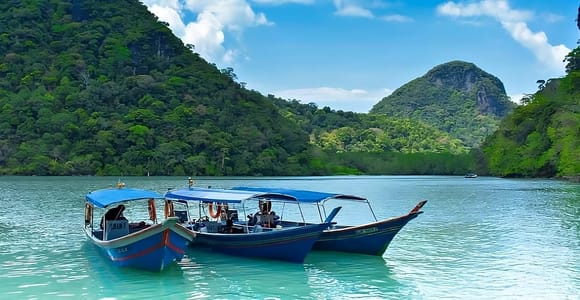 Langkawi: Mangrove Tour with Kilim Geoforest Park & Bat Cave