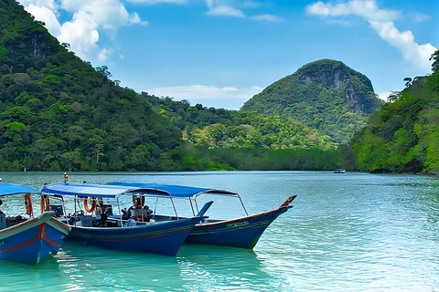 Langkawi: Mangroven-Touren mit Optionen