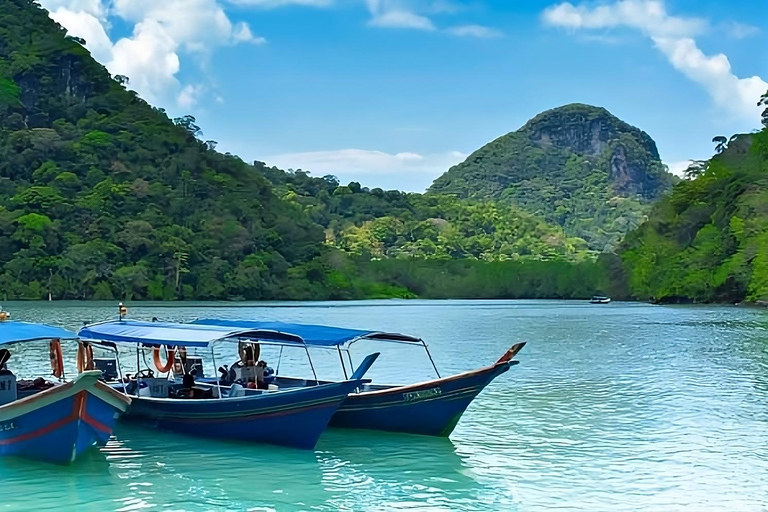 Langkawi: Mangroven-Touren mit Optionen