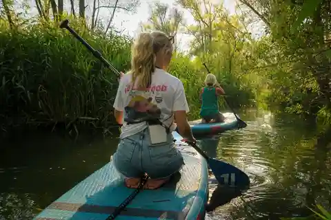 Biesbosch: SUP Board Rental