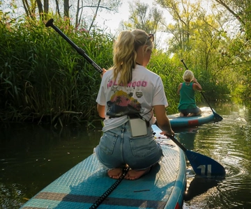 Biesbosch: SUP Board Rental