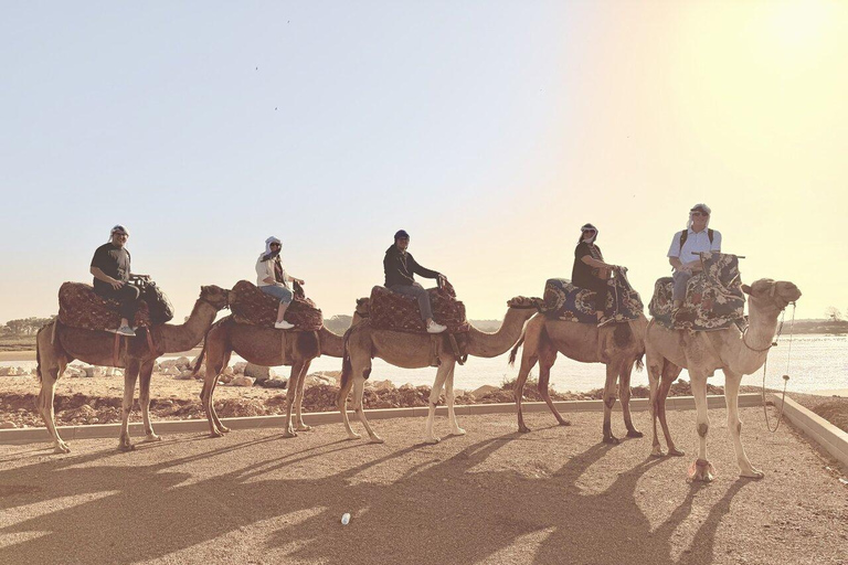 Agadir: Private Souss River Camel Ride with Pickup