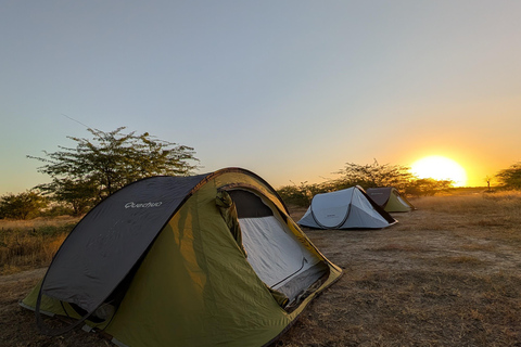 Saloum Delta: 3 days of adventure in the middle of nature, camping on a desert island Saloum Delta: Camping and Adventure