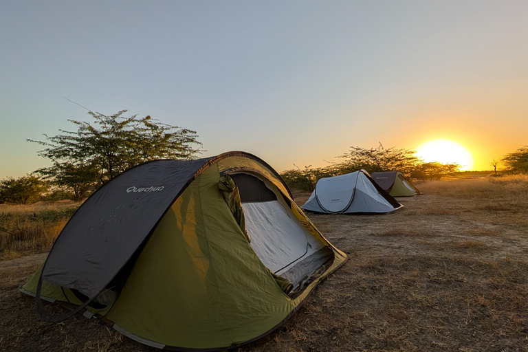 Saloum Delta: 3 days of adventure in the middle of nature, camping on a desert island Saloum Delta: Camping and Adventure
