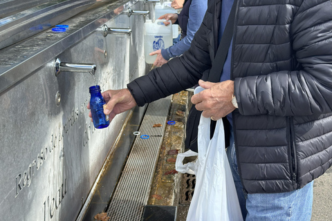 Lourdes Express: Private Guided Tour of the Sanctuaries