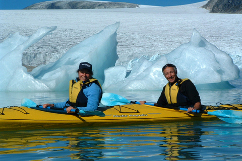 Stygge: Kayaking and Glacier Hike