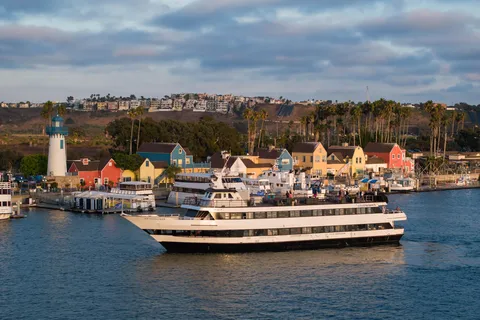 Marina Del Rey: Thanksgiving Buffet Brunch eller Middagskrydstogt