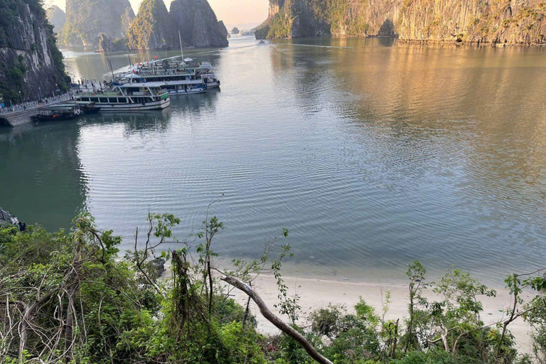 Hanoi: jednodniowa wycieczka po zatoce Ha Long - luksusowy rejs i lunch w formie bufetu