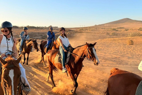 Cape Town: Mountain View Horse Trail Ride Experience 2 Hour