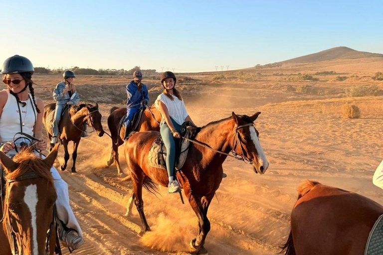 Cape Town: Mountain View Horse Trail Ride Experience 2 Hour