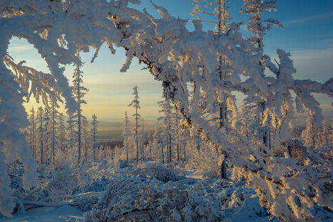 Rovaniemi: Auttiköngäs Winter Wilderness Hike & BBQ Auttiköngäs Winter Wilderness Hike & BBQ - Small Group