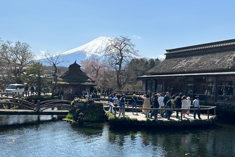 Mt. Fuji & Hakone Private Tour T/F Tokyo, Yokohama up to 12 From Yokohama to Tokyo up to 10
