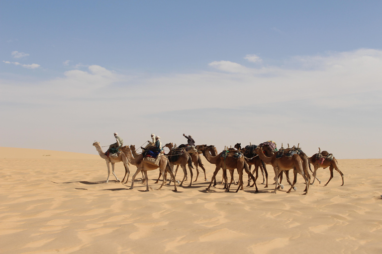 From Djerba: Desert, Ksar Ghilane, Matmata & Toujane by 4x4