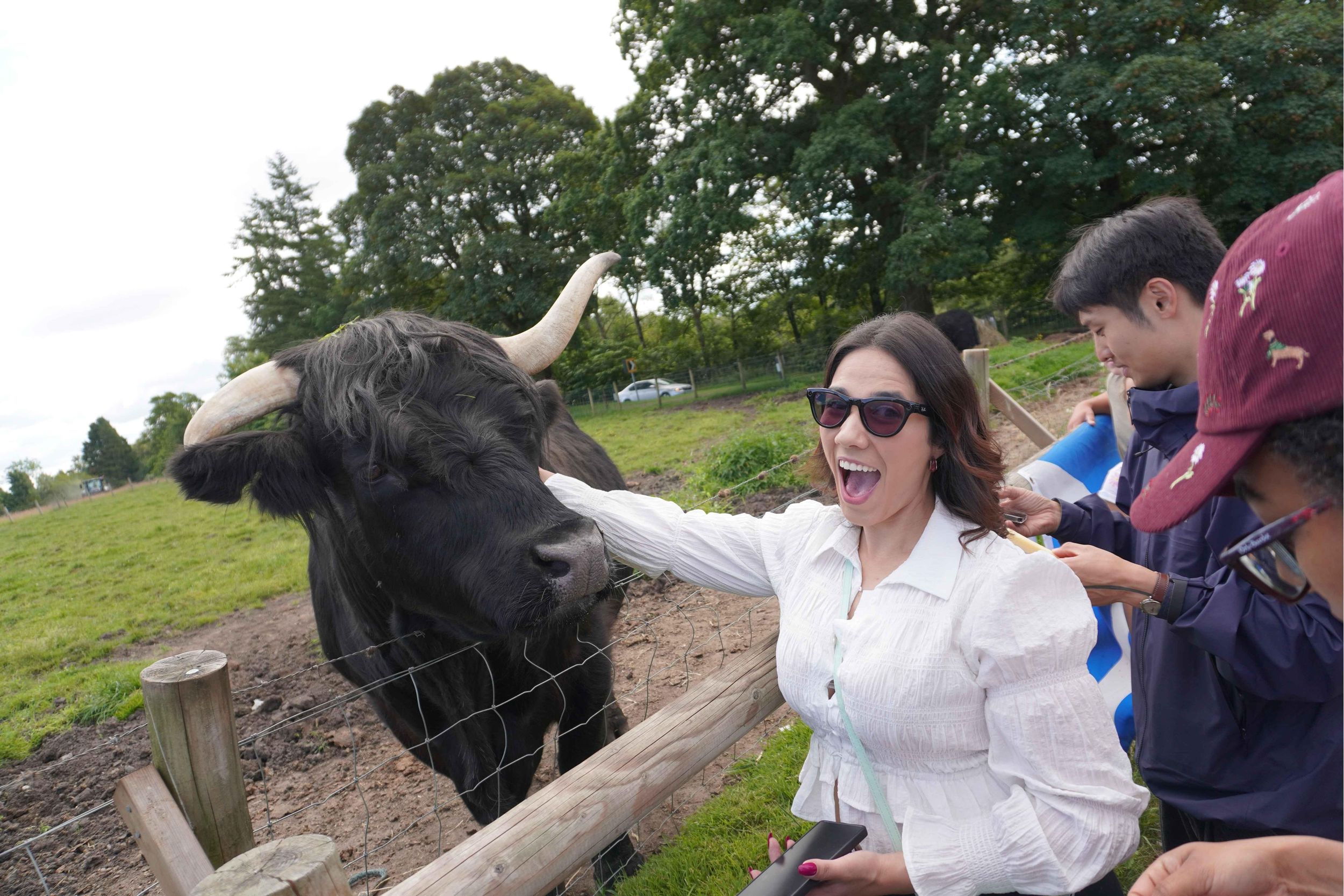 Ab Edinburgh: Tagestour Highland-Kühe & Burgen