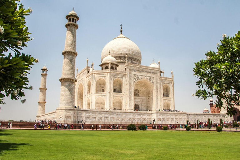 Agra : Visite guidée du Taj Mahal au lever du soleilTaj Mahal Sunrise Tour Guide+Billet+Transport