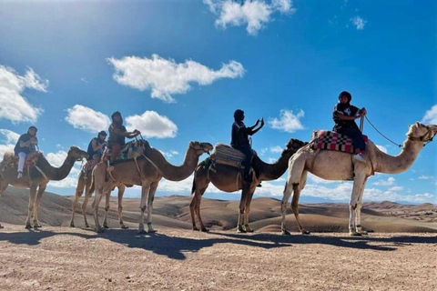 Marrakech: Agafay Desert Sunset, Camel Ride, and Dinner Show