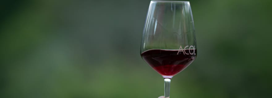 Dilijan : dégustation de vin économique (blanc Lalvari et rouge Milakh)