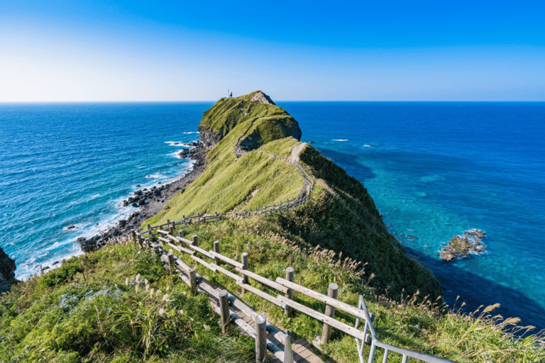 هوكايدو، سابرو، أوتارو، وكيب كاموي | جولة ليوم واحد