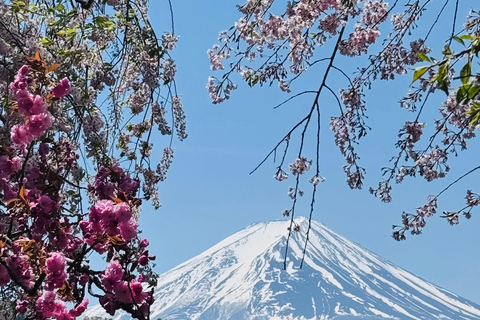 Tokyo: Private Daytrip to Mount Fuji - Fully Customizable Mt Fuji Private Luxury Van Tour (Customizable Experience)