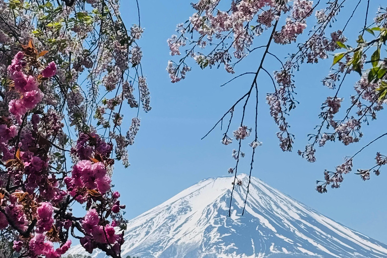 Tokyo: Private Daytrip to Mount Fuji - Fully Customizable Mt Fuji Private Luxury Van Tour (Customizable Experience)