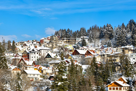Bucharest to Sinaia Day Trip: Peles Castle & Scenic Gondola