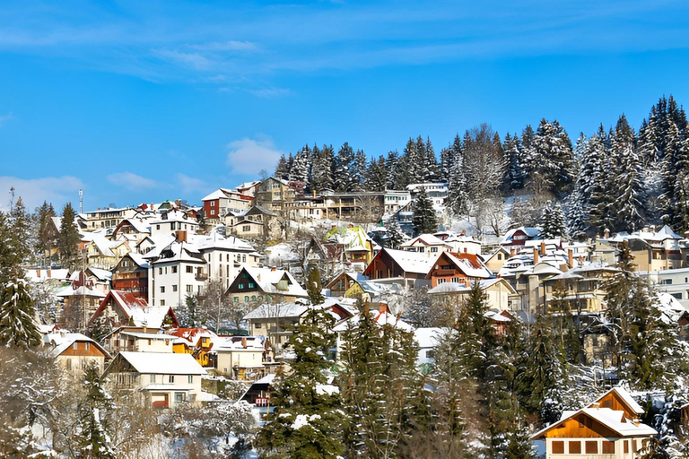 Bucharest to Sinaia Day Trip: Peles Castle & Scenic Gondola